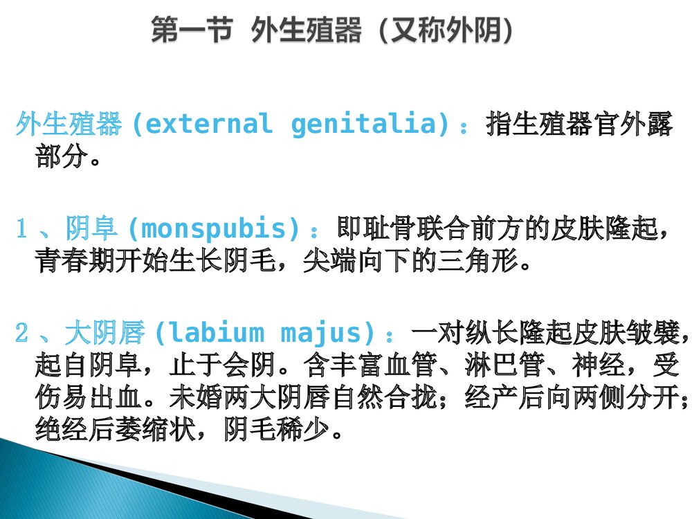 女性生殖系统培训课件PPT下载7