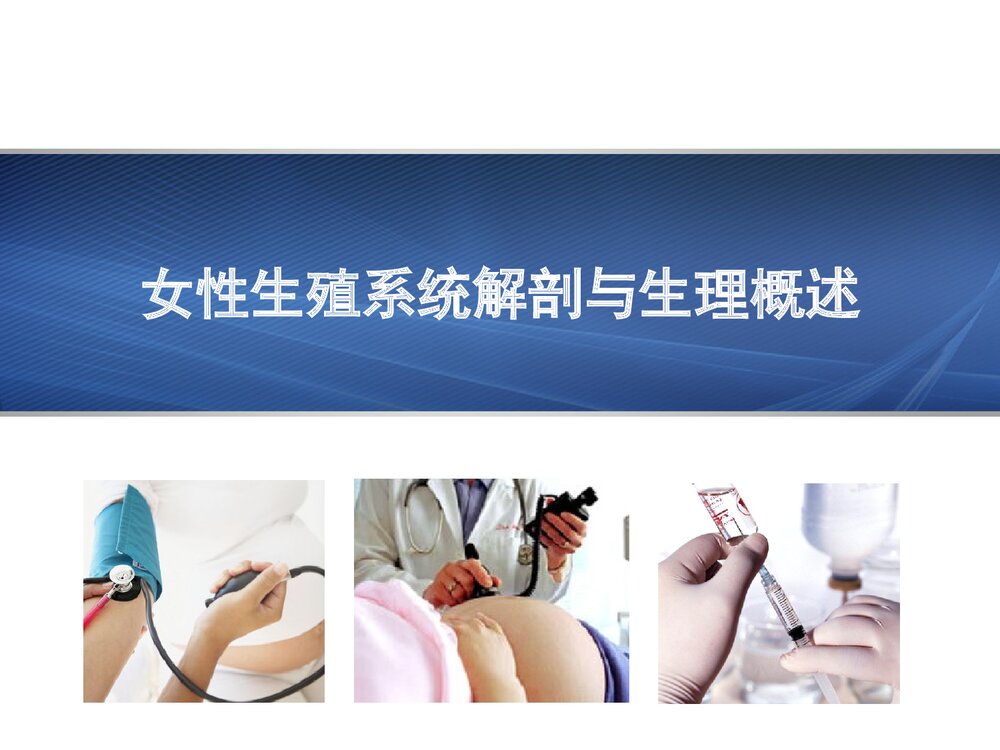 妇产科护理学·女性生殖系统解剖与生理概述PPT课件下载1