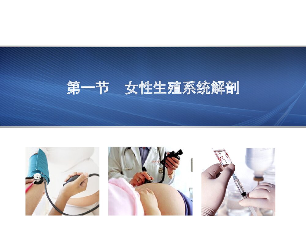妇产科护理学·女性生殖系统解剖与生理概述PPT课件下载2