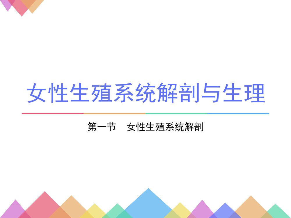女性生殖系统解剖与生理PPT课件下载1