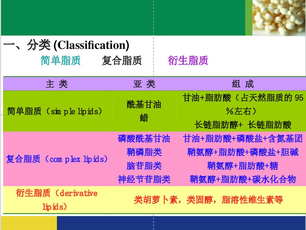 食品化学《第五章 脂质》PPT课件下载(共65页)7