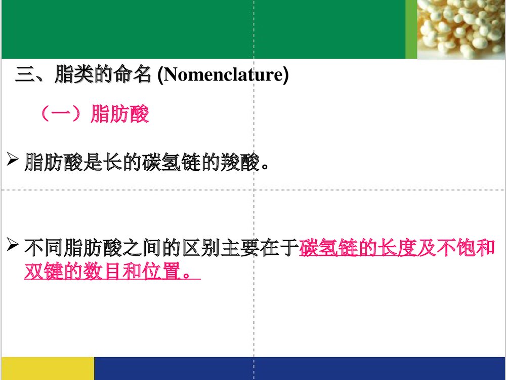 食品化学《第五章 脂质》PPT课件下载(共65页)10