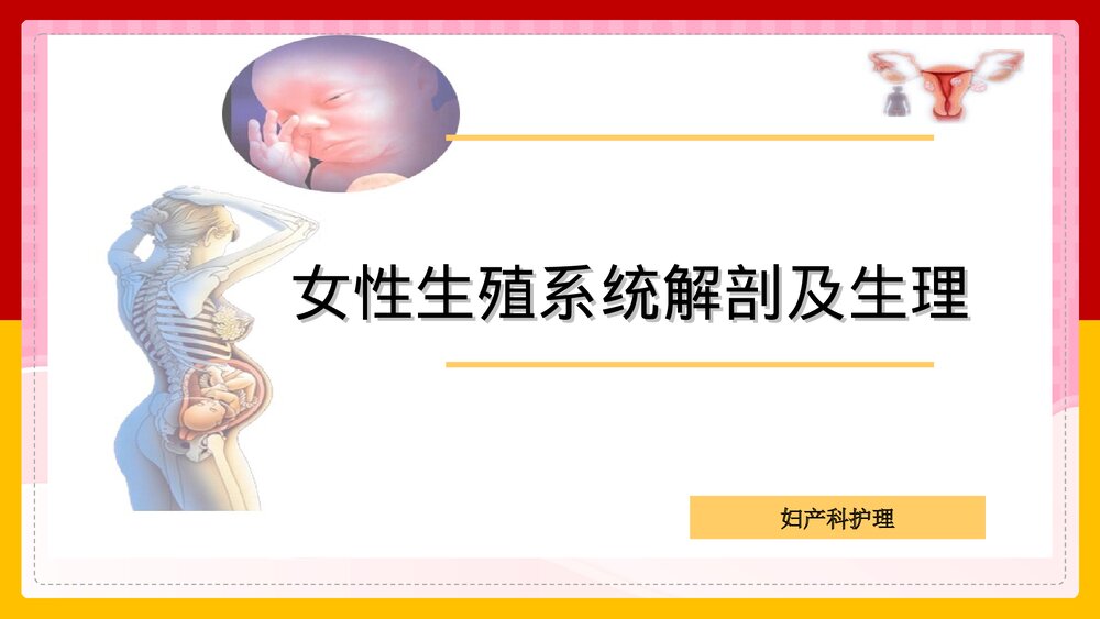妇产科护理学·第二章女性生殖系统解剖及生理PPT课件下载1