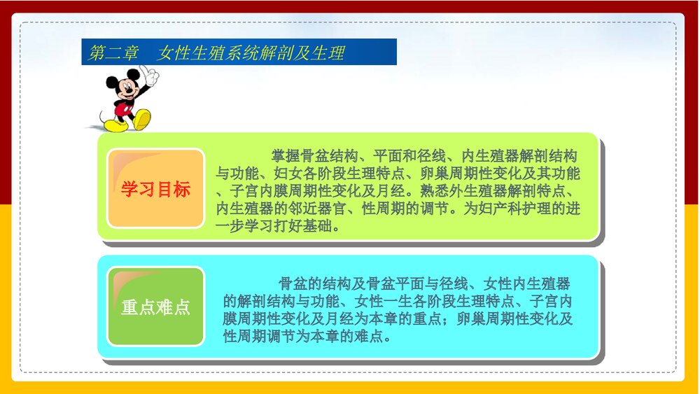 妇产科护理学·第二章女性生殖系统解剖及生理PPT课件下载2