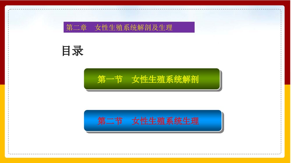 妇产科护理学·第二章女性生殖系统解剖及生理PPT课件下载3
