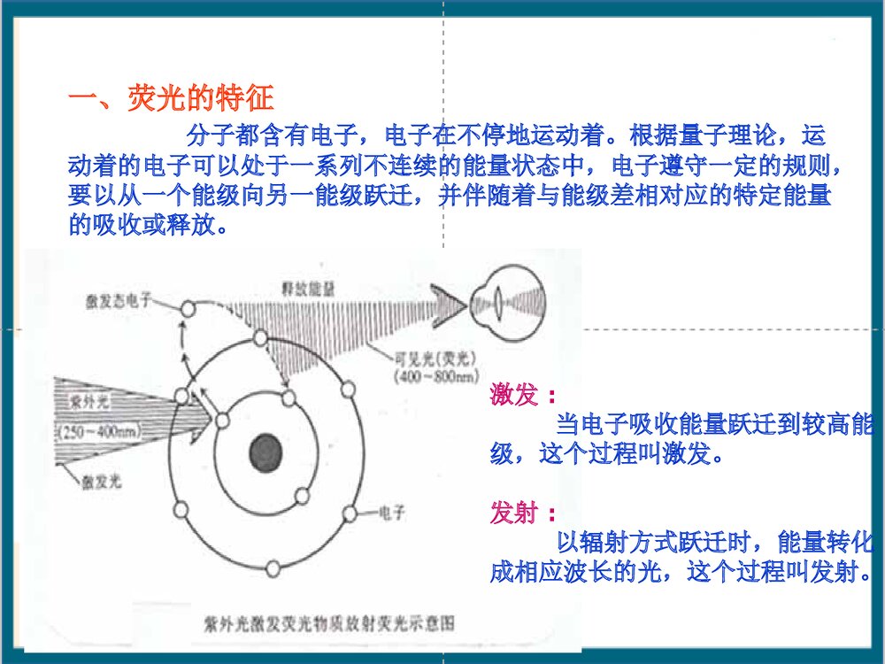 免疫荧光细胞化学技术PPT课件(共44页)6