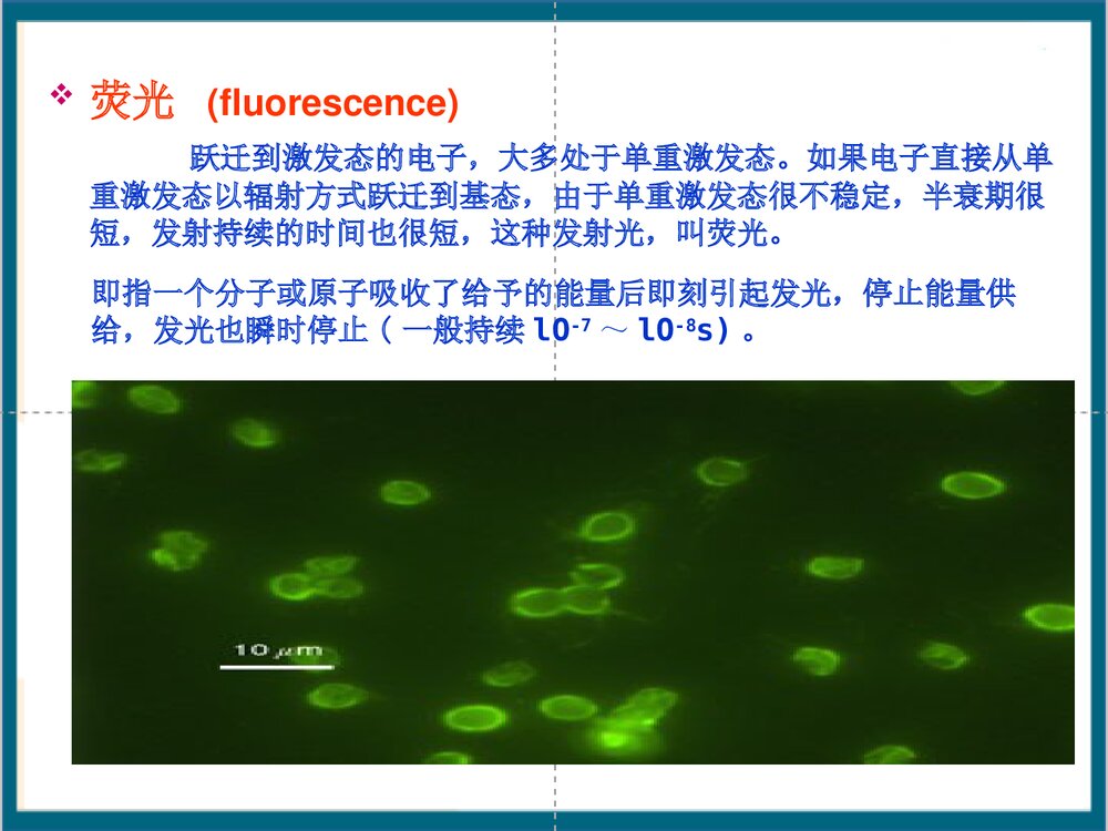 免疫荧光细胞化学技术PPT课件(共44页)7