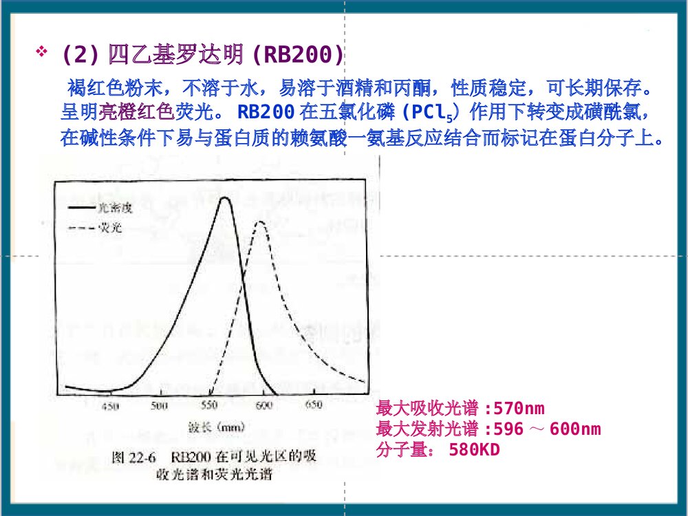 免疫荧光细胞化学技术PPT课件(共44页)10