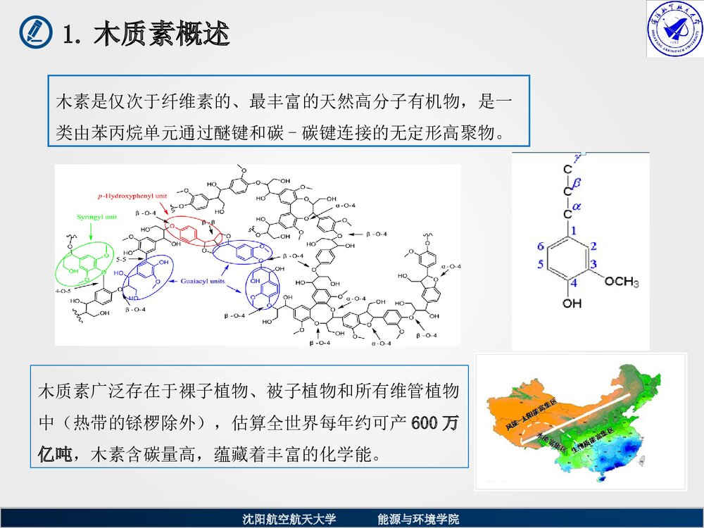 木质素化学反应动力学PPT课件下载(共29页)4