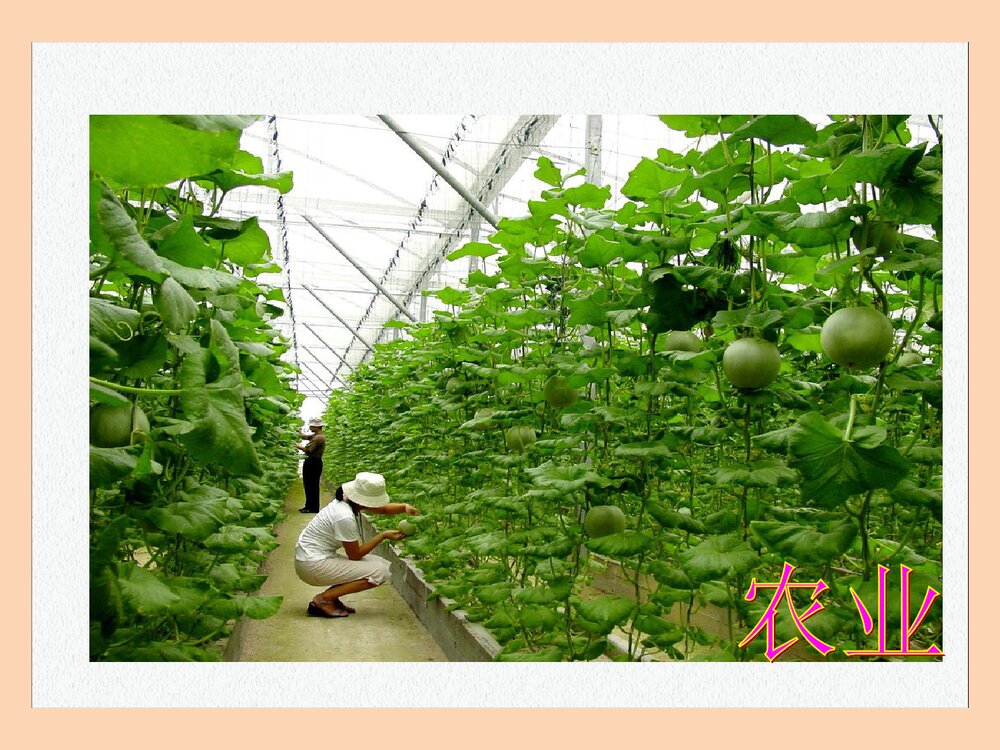 化学改变世界PPT课件下载6