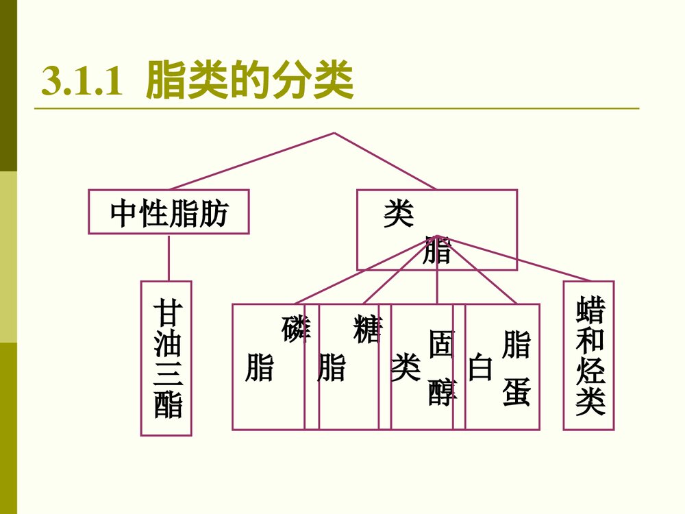 食品化学·第三章·脂肪PPT课件下载5