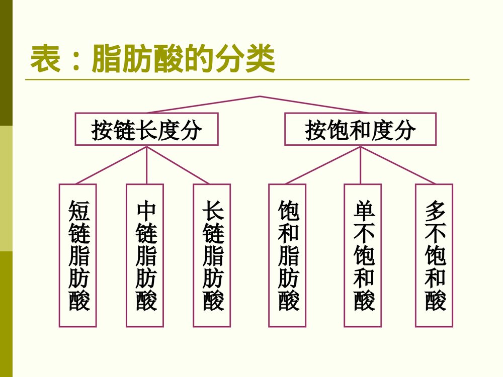 食品化学·第三章·脂肪PPT课件下载9