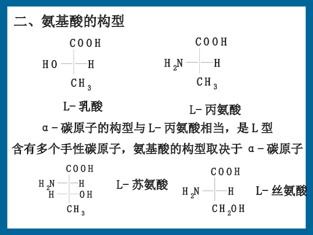 有机化学《第十六章 氨基酸、多肽与蛋白质》PPT课件下载3
