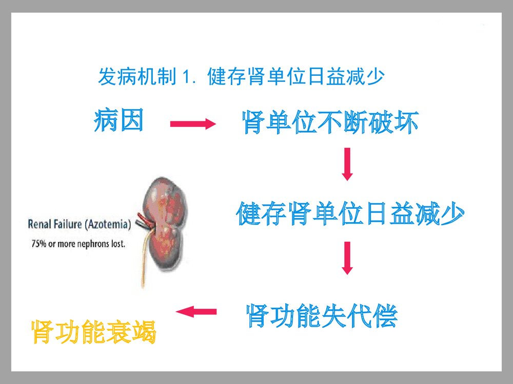 中药灌肠治疗慢性肾衰竭PPT课件下载4