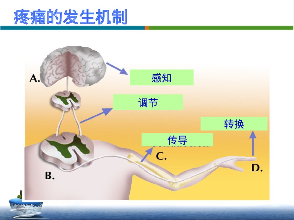 疼痛患者的康复护理PPT课件下载9