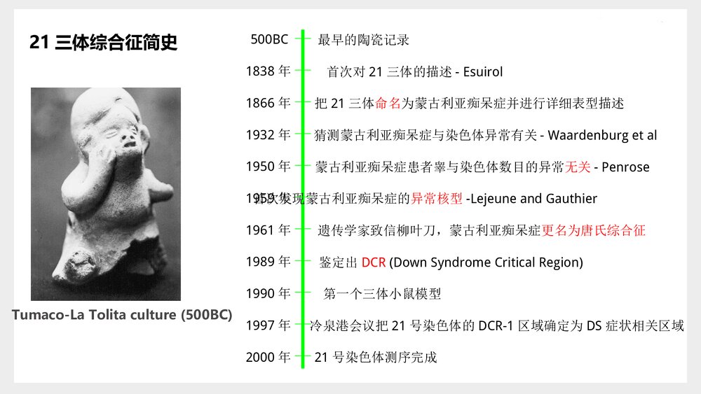 三体综合征分子机制与治疗研究现状PPT课件(共14页)4