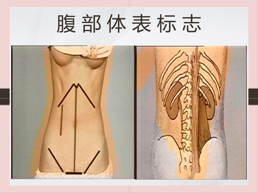 腹部体格检查的课件PPT下载(可编辑修改)3