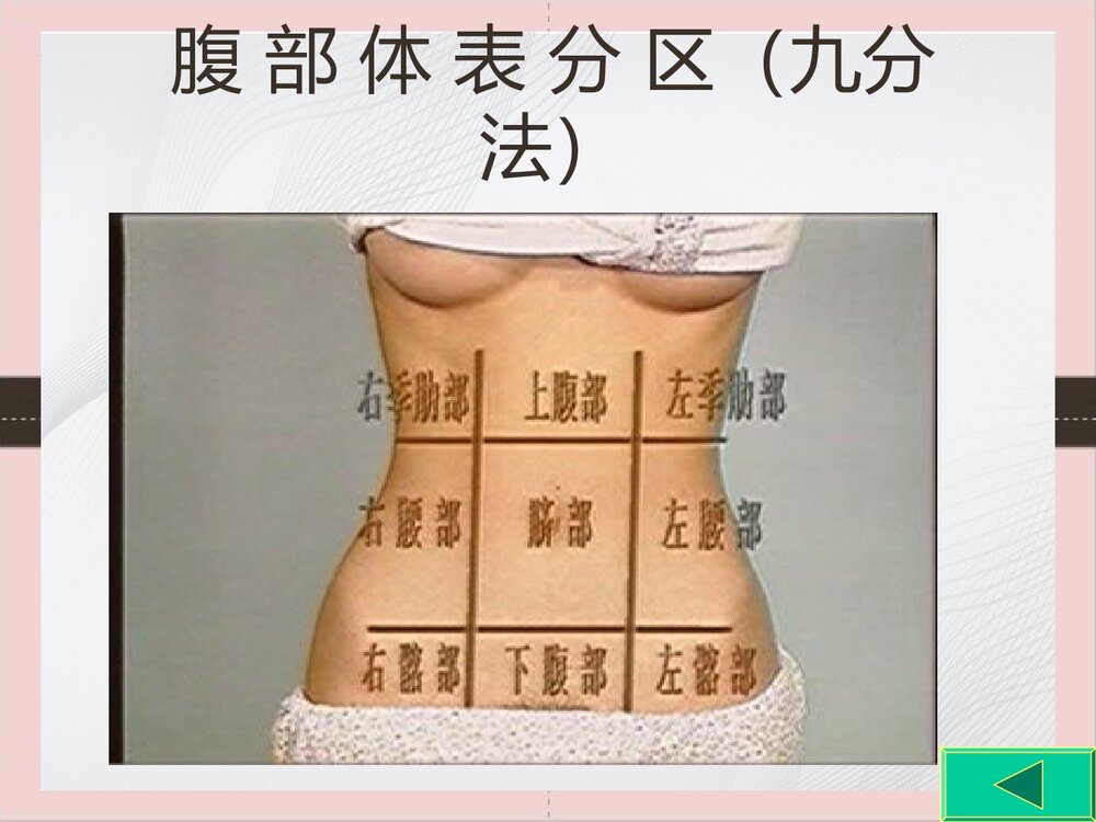 腹部体格检查的课件PPT下载(可编辑修改)5