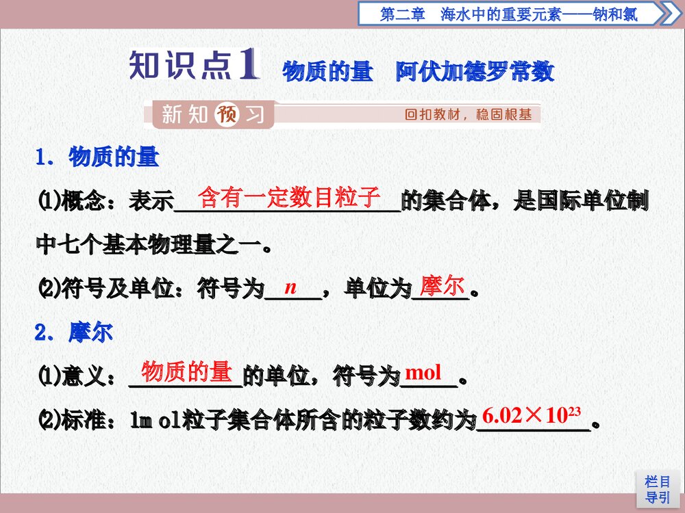 2.3.1物质的量的单位——摩尔PPT课件下载3