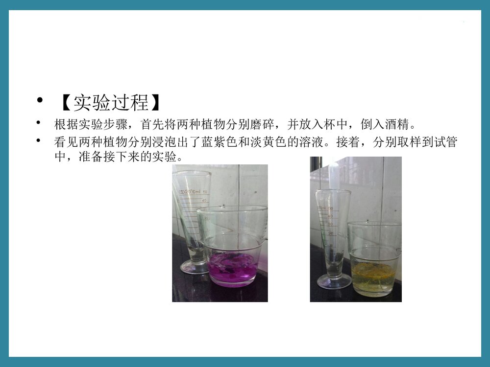 初三化学实验报告·自制酸碱指示剂PPT课件下载5