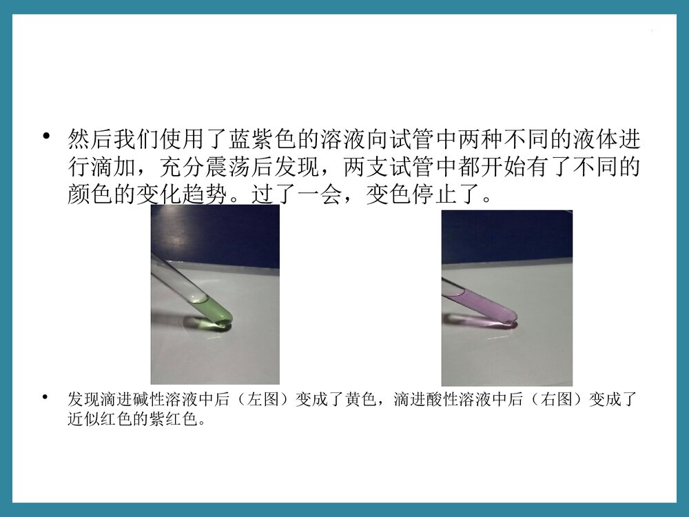 初三化学实验报告·自制酸碱指示剂PPT课件下载9