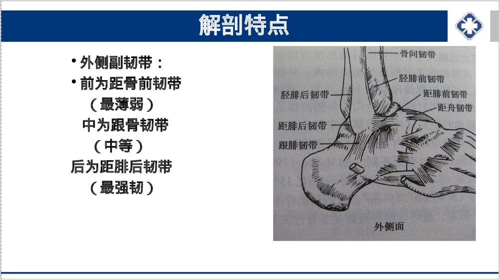 踝关节骨折的护理PPT课件下载7