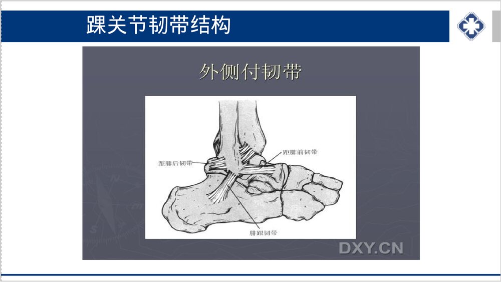 踝关节骨折的护理PPT课件下载10