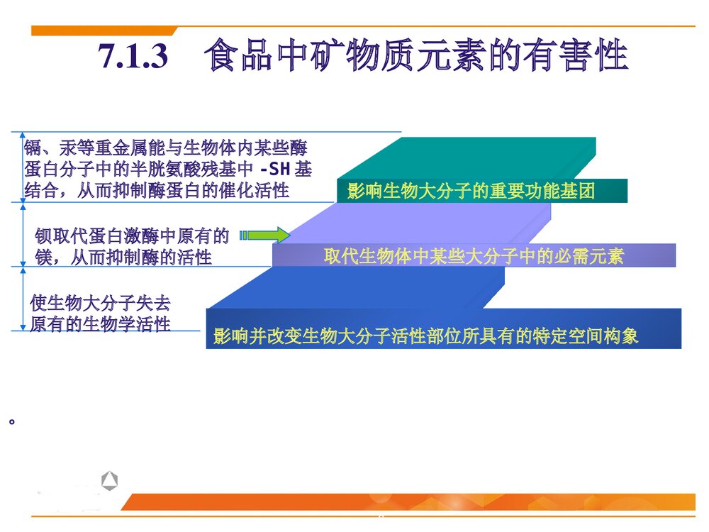 食品化学第7章·矿物质PPT课件下载8