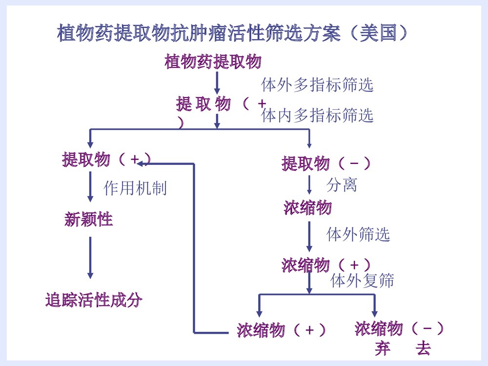 中药化学前轮·中药物质基础研究途径与方法PPT课件下载6