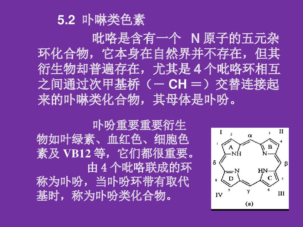 食品化学《第五章 色素和着色剂》PPT课件10