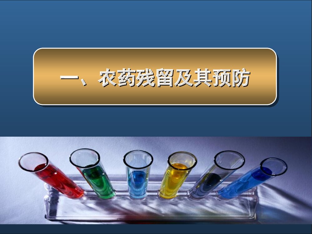 食品的化学性污染及其预防PPT课件下载3