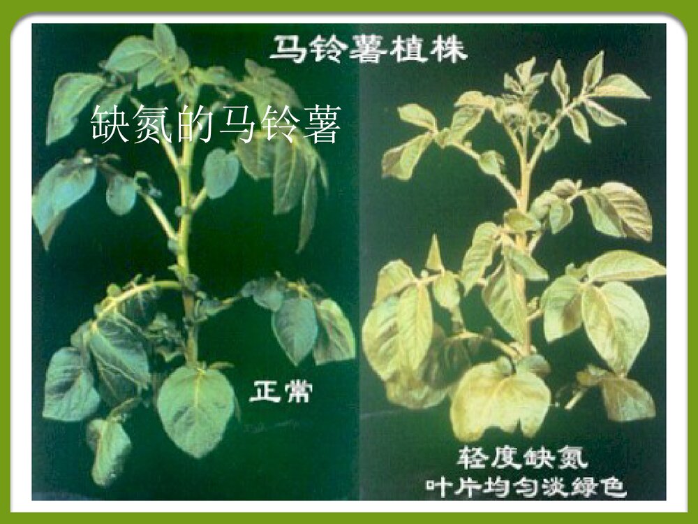 课题2化学肥料PPT课件下载8