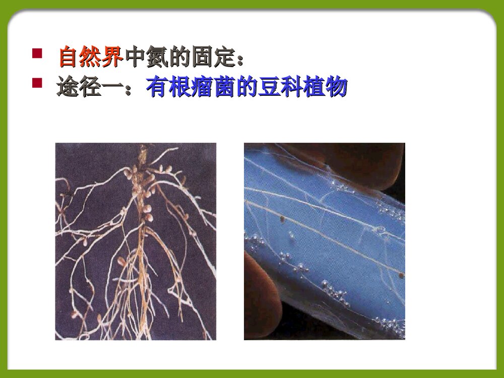 课题2化学肥料PPT课件下载10