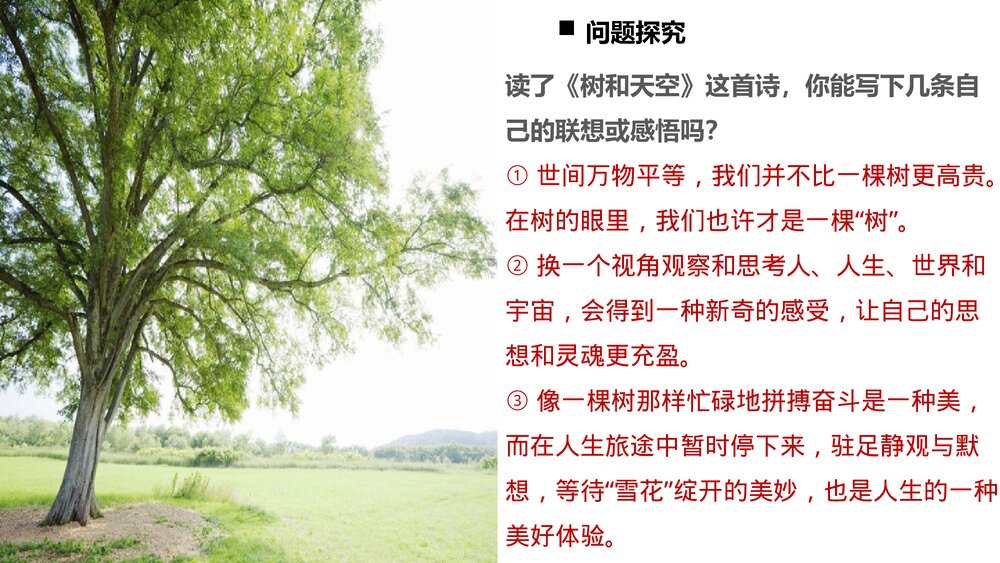《树和天空》高中语文统编版选择性必修中册PPT课件9