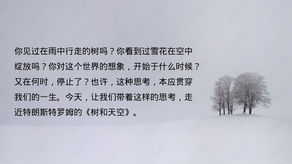 《树和天空》统编版高中语文选择性必修中册PPT教学课件2