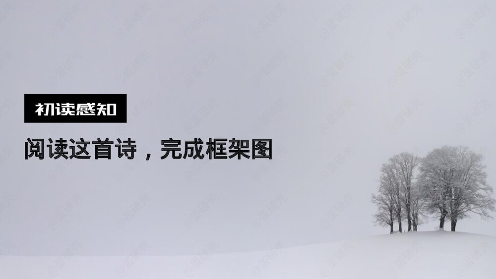 《树和天空》统编版高中语文选择性必修中册PPT教学课件7