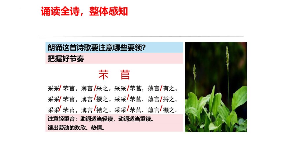 高中语文统编版必修一《芣苢》PPT课件8