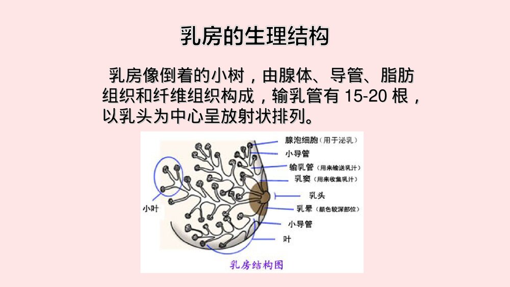 产妇侧切及剖腹产伤口护理+喂母乳养指导及乳房异常的处理PPT课件6