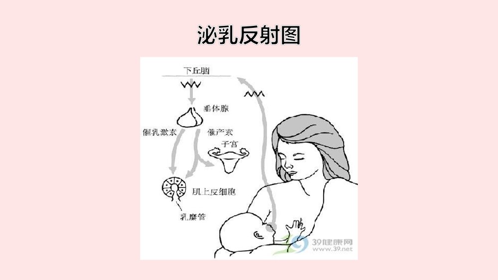 产妇侧切及剖腹产伤口护理+喂母乳养指导及乳房异常的处理PPT课件7