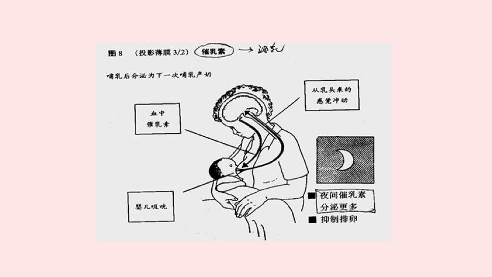 产妇侧切及剖腹产伤口护理+喂母乳养指导及乳房异常的处理PPT课件8