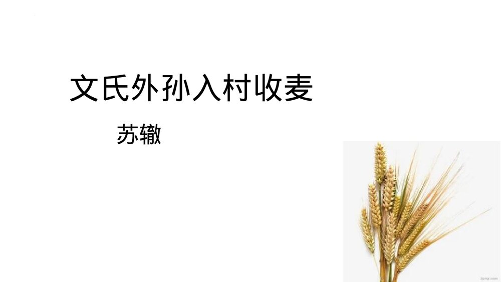 《文氏外孙入村收麦》统编版高中语文必修一 PPT教学课件