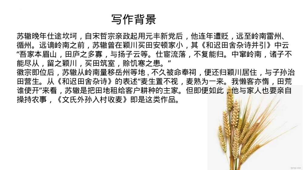 《文氏外孙入村收麦》统编版高中语文必修一 PPT教学课件2