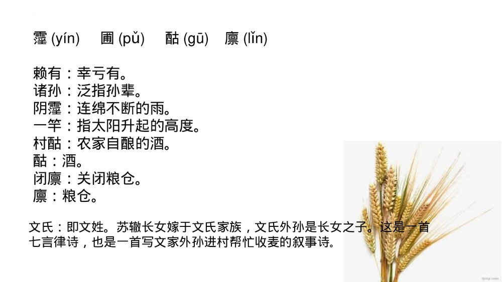 《文氏外孙入村收麦》统编版高中语文必修一 PPT教学课件3