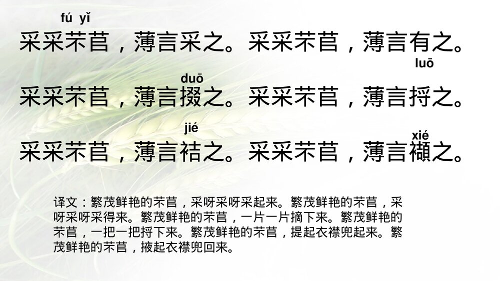 《芣苢》高中语文统编版必修一PPT教学课件8