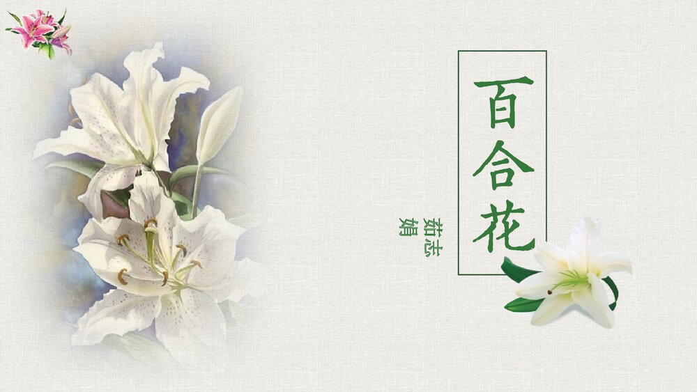 《百合花》高中语文统编版必修一PPT课件下载1