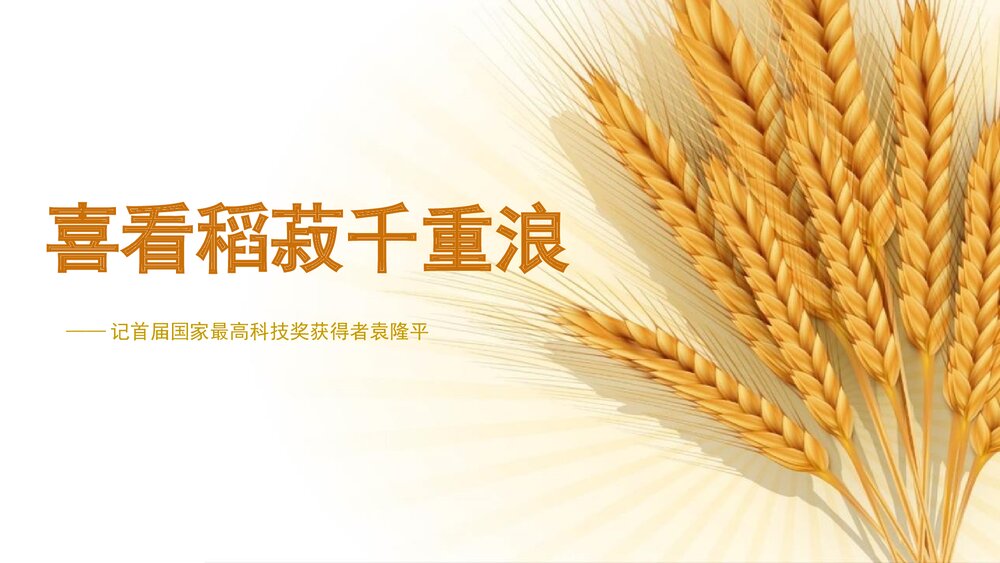 《喜看稻菽千重浪》高中语文统编版必修一PPT课件下载1