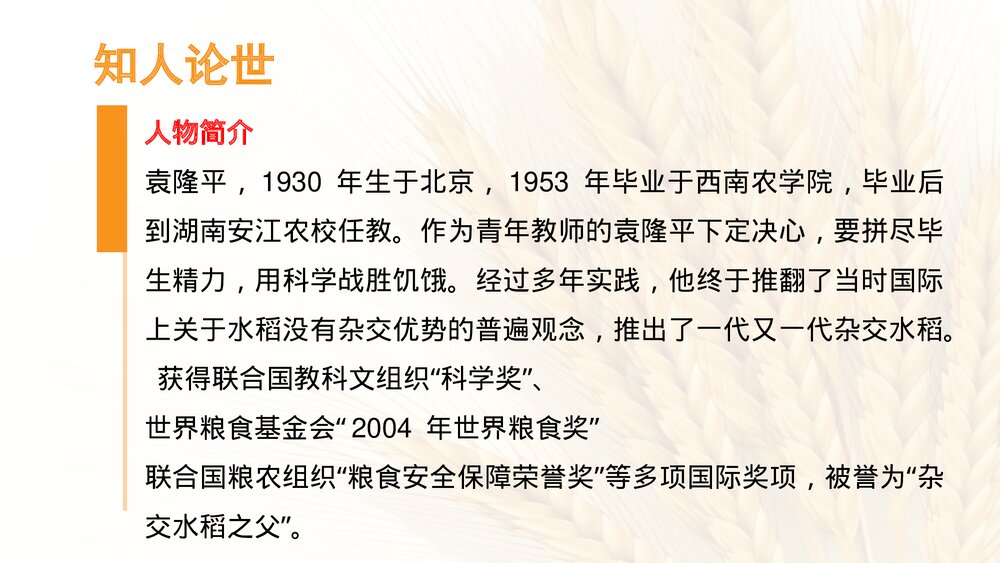 《喜看稻菽千重浪》高中语文统编版必修一PPT课件下载4