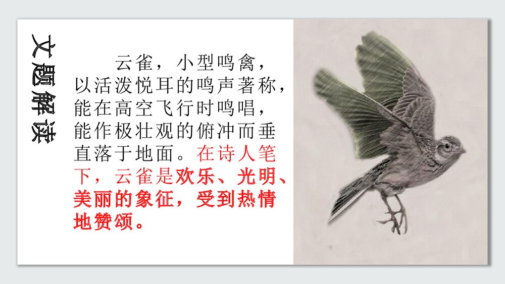 《致云雀》统编版高中语文必修一PPT课件10