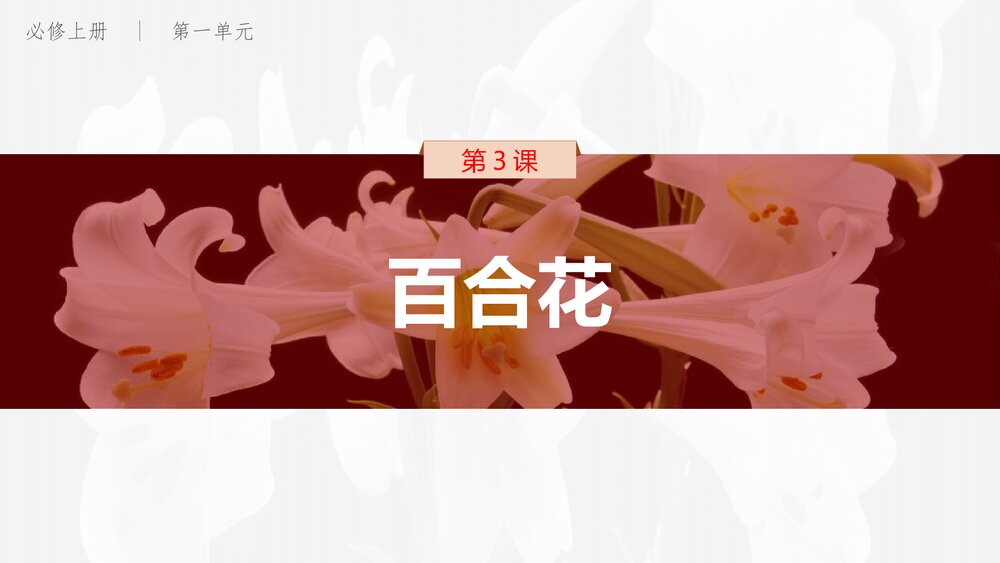 《百合花》高中语文统编版必修上册PPT课件(第一单元·第3课)1