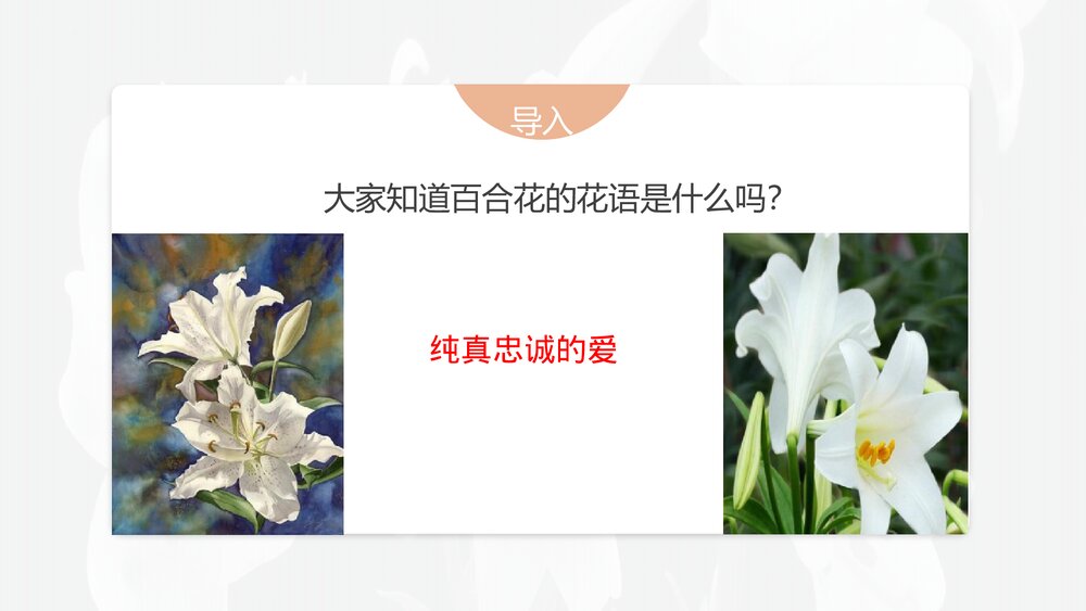 《百合花》高中语文统编版必修上册PPT课件(第一单元·第3课)3